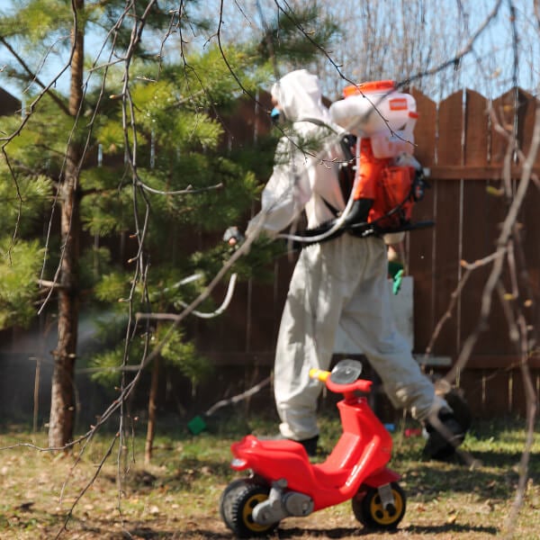 Обработка участка от клещей в Тамбове?